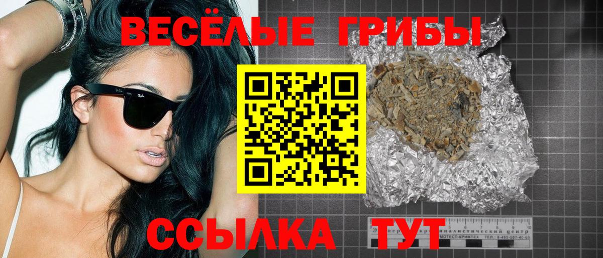 Галлюциногенные грибы Psilocybe  Вход с VPN  Галлюциногенные грибы мухоморы  Зеленокумск 